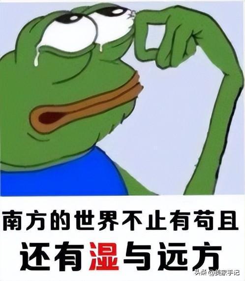 JDB电子 JDB夺宝电子告别回南天专治“湿”症！资深家电博主：这款家电越用越上瘾(图1)