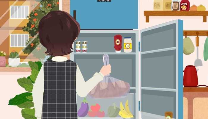 JDB电子 JDB夺宝电子世界十大冰箱品牌排行榜 冰箱品牌排行榜前十名(图2)