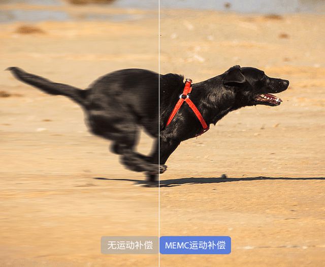 JDB电子 JDB夺宝电子几款能让你点亮品质生活的好用小家电618入手正当时！(图4)