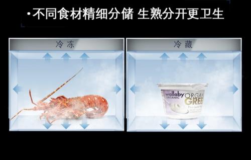 JDB电子 JDB夺宝电子冰箱品牌排行榜前十品牌西门子冰箱 产品质量有保证(图3)