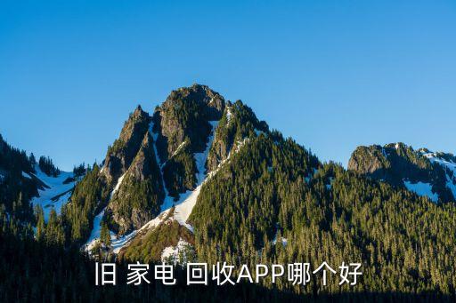 JDB电子 JDB夺宝电子哪些平台可以上门回收家电旧家电上门回收平台app(图3)